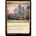 統率の塔/Command Tower《日本語》【SOC】