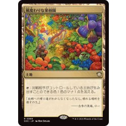 画像1: 風変わりな果樹園/Exotic Orchard《日本語》【SOC】