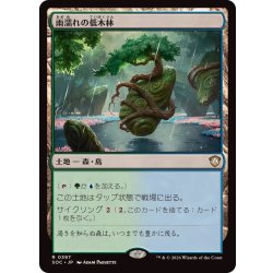 画像1: 雨濡れの低木林/Rain-Slicked Copse《日本語》【SOC】