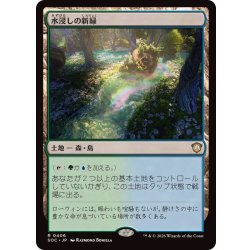 画像1: 水浸しの新緑/Sodden Verdure《日本語》【SOC】