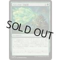 (FOIL)バロッグの一斉射撃/Burrog Barrage《日本語》【SOS】