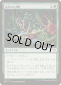 [EX+](FOIL)栄光ある腐朽/Glorious Decay《日本語》【SOS】