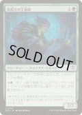[EX+](FOIL)気配りの生術師/Mindful Biomancer《日本語》【SOS】