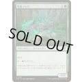 (FOIL)有毒イモリ/Noxious Newt《日本語》【SOS】