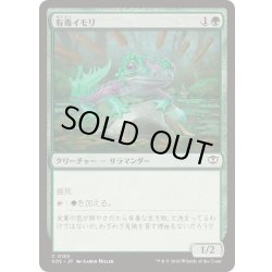 画像1: (FOIL)有毒イモリ/Noxious Newt《日本語》【SOS】