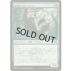 画像1: (FOIL)害獣育てのナマケモノ/Pestbrood Sloth《日本語》【SOS】