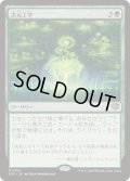 [EX+](FOIL)次元工学/Planar Engineering《日本語》【SOS】