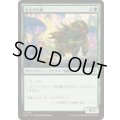 (FOIL)店主の災難/Shopkeeper's Bane《日本語》【SOS】