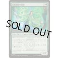 [EX+](FOIL)装飾庭園の講師/Topiary Lecturer《日本語》【SOS】