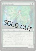 [EX+](FOIL)装飾庭園の講師/Topiary Lecturer《日本語》【SOS】