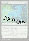 [EX+](FOIL)野生の仮説/Wild Hypothesis《日本語》【SOS】