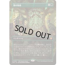 画像1: [EX+](フルアート)(0155)森の知恵/Sylvan Library《日本語》【SPG】