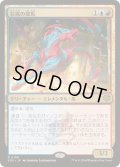 [EX](FOIL)彩嵐の雄馬/Colorstorm Stallion《日本語》【SOS】