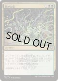 [EX+](FOIL)精神の根/Mind Roots《日本語》【SOS】