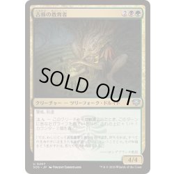 画像1: (FOIL)古株の教育者/Old-Growth Educator《日本語》【SOS】