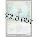 (FOIL)逆説の測量士/Paradox Surveyor《日本語》【SOS】