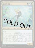 (FOIL)逆説の測量士/Paradox Surveyor《日本語》【SOS】