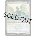 (FOIL)証明するもの、クアンドリクス/Quandrix, the Proof《日本語》【SOS】