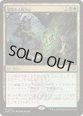 (FOIL)悪意ある競争心/Vicious Rivalry《日本語》【SOS】