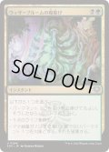 (FOIL)ウィザーブルームの魔除け/Witherbloom Charm《日本語》【SOS】