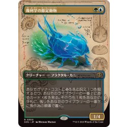画像1: (FOIL)(フルアート)幾何学の節足動物/Geometer's Arthropod《日本語》【SOS】