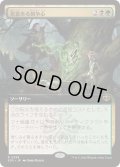 [EX+](FOIL)(フルアート)悪意ある競争心/Vicious Rivalry《日本語》【SOS】