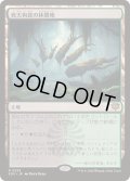 (FOIL)死天狗茸の林間地/Deathcap Glade《日本語》【SOS】