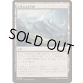 (FOIL)広漠なる変幻地/Terramorphic Expanse《日本語》【SOS】