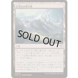 画像1: (FOIL)広漠なる変幻地/Terramorphic Expanse《日本語》【SOS】