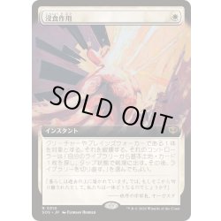 画像1: [EX](FOIL)(フルアート)浸食作用/Erode《日本語》【SOS】
