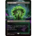 (FOIL)(フルアート)死天狗茸の林間地/Deathcap Glade《日本語》【SOS】