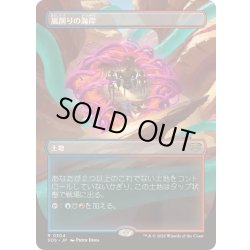 画像1: [EX+](FOIL)(フルアート)嵐削りの海岸/Stormcarved Coast《日本語》【SOS】