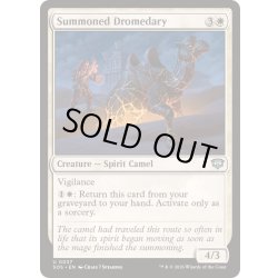 画像1: (FOIL)召喚されたヒトコブラクダ/Summoned Dromedary《英語》【SOS】