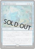(FOIL)谺詠唱の討論会/Echocasting Symposium《日本語》【SOS】