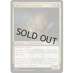 画像1: [EX+](FOIL)古株の教育者/Old-Growth Educator《英語》【SOS】