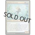 (FOIL)逆説の測量士/Paradox Surveyor《英語》【SOS】