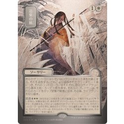 画像1: (シルバースクロールFOIL)(日限定イラスト)遺棄の風/Winds of Abandon《日本語》【SOA】