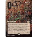 (日限定イラスト)四肢切断/Dismember《日本語》【SOA】