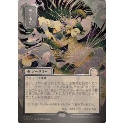 画像1: (シルバースクロールFOIL)(日限定イラスト)死せる生/Living End《日本語》【SOA】