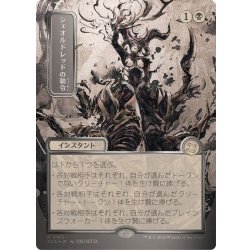 画像1: (シルバースクロールFOIL)(日限定イラスト)シェオルドレッドの勅令/Sheoldred's Edict《日本語》【SOA】