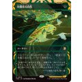 (FOIL)(アーカイブ)垣間見る自然/Glimpse of Nature《日本語》【SOA】
