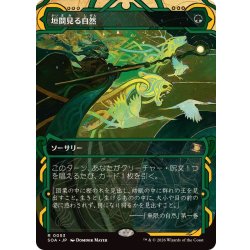 画像1: (FOIL)(アーカイブ)垣間見る自然/Glimpse of Nature《日本語》【SOA】