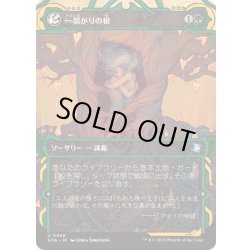 画像1: [EX+](FOIL)(アーカイブ)一繋がりの根/Shared Roots《日本語》【SOA】