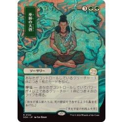 画像1: [EX+](日限定イラスト)巫師の天啓/Shamanic Revelation《日本語》【SOA】