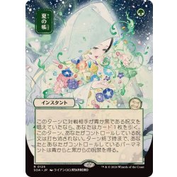 画像1: (日限定イラスト)夏の帳/Veil of Summer《日本語》【SOA】