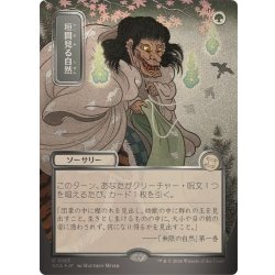 画像1: (シルバースクロールFOIL)(日限定イラスト)垣間見る自然/Glimpse of Nature《日本語》【SOA】