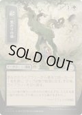 [EX+](シルバースクロールFOIL)(日限定イラスト)一繋がりの根/Shared Roots《日本語》【SOA】