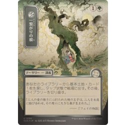画像1: (シルバースクロールFOIL)(日限定イラスト)一繋がりの根/Shared Roots《日本語》【SOA】