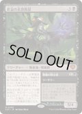 [EX+](FOIL)悲哀の名誉教授/Emeritus of Woe《日本語》【SOS】