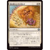 務め果たさずに死なず/Duty Beyond Death《日本語》【TDM】